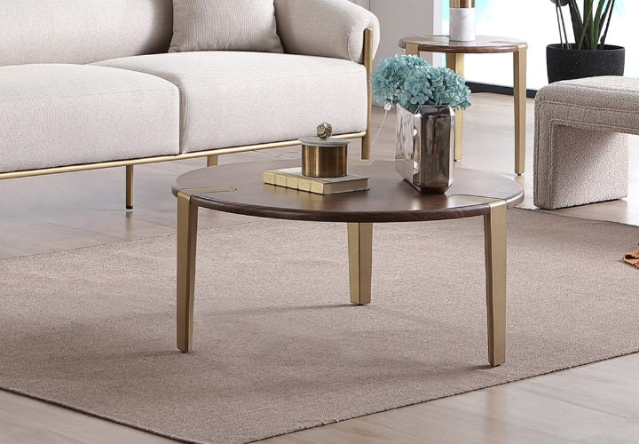 DARLENE COFFEE TABLE GY-CT-C22286-001